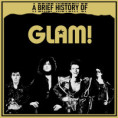 /album/photo-gallery-brief-histories-genres1/glam-final-jpg/